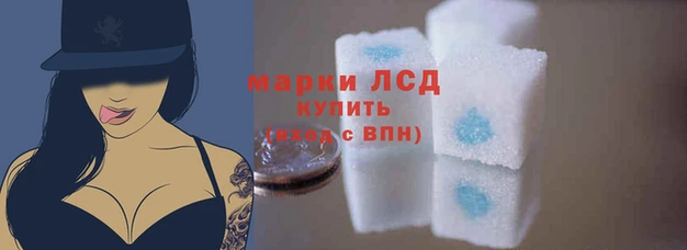 стафф Богданович